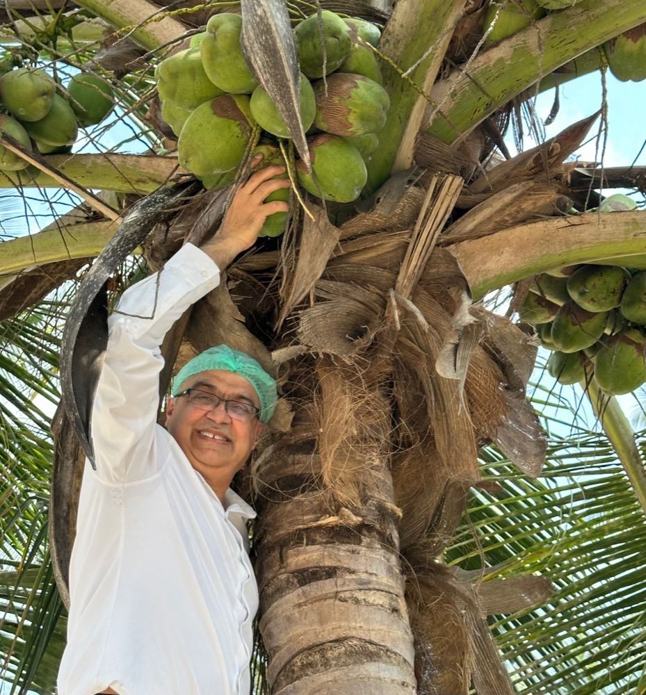 Puneet Nanda harvesting coconuts at the source